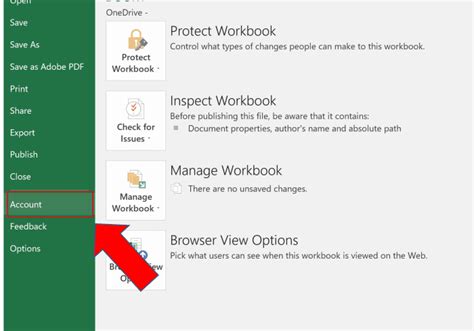 how to know what version of excel i have on mac