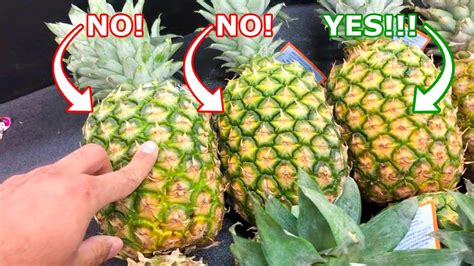 how to know when a pineapple is ready