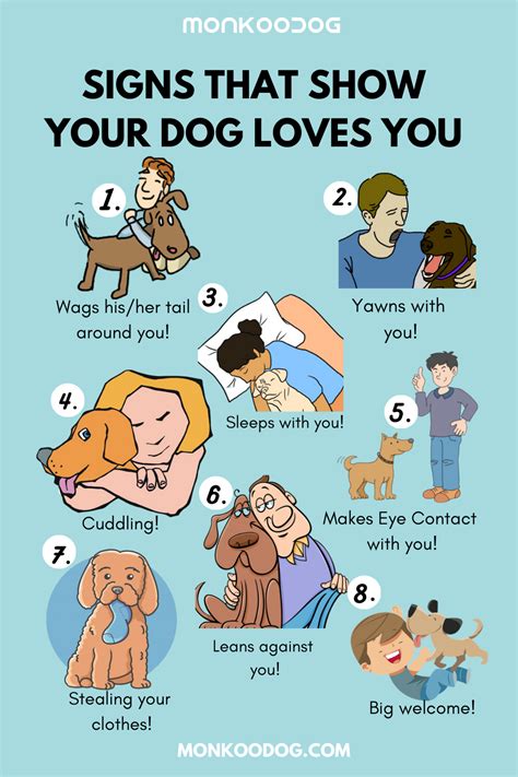 How To Know When Your Dog Is Showing Affection