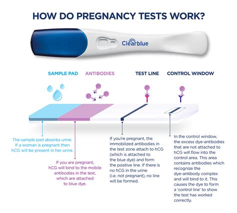 how to know you're pregnant before testing