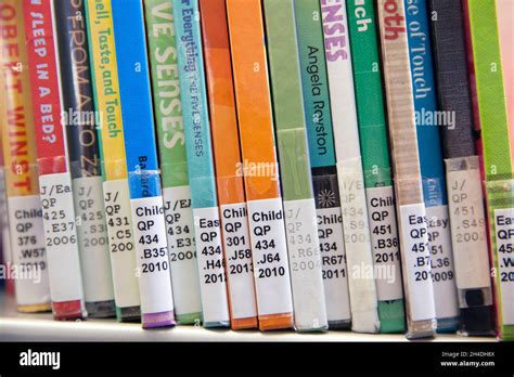 How To Label Books In A Library