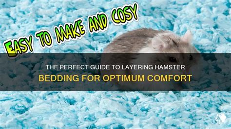 How To Layer Hamster Bedding