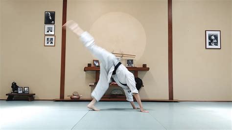 how to learn aikido at home