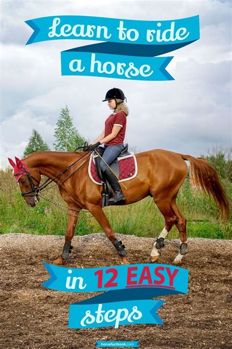 how to learn horse riding