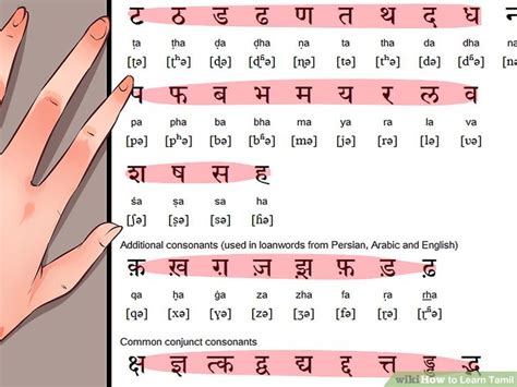 how to learn tamil language to read and write