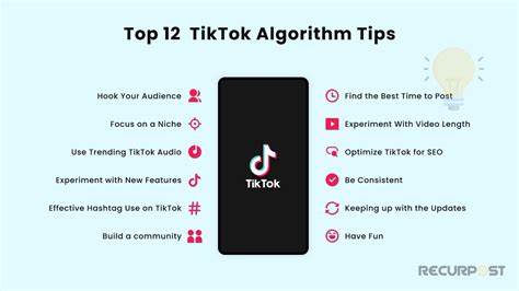 how to learn tiktok algorithm