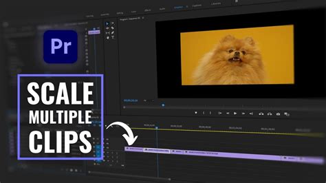 How To Link Multiple Clips In Premiere