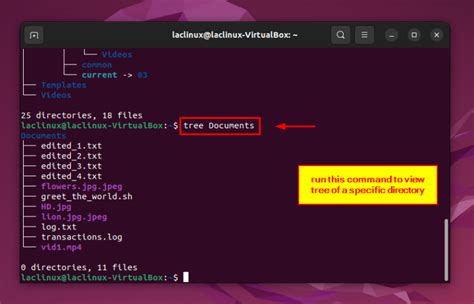 How To List Directories Recursively In Linux