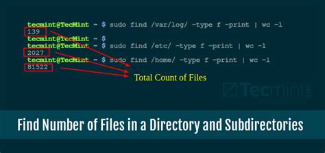 How To List The Number Of Files In A Directory In Linux