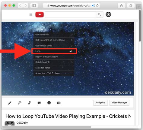 how to loop yt videos