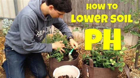 How To Lower Soil Ph In Containers