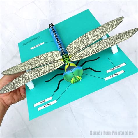 how to make a 3d dragonfly