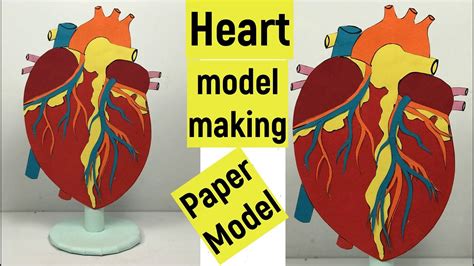how to make a 3d heart model for school project with paper