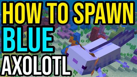 How To Make A Axolotl Spawn In Minecraft