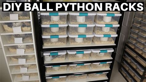 How To Make A Ball Python Rack