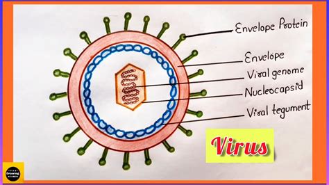 How To Make A Basic Virus