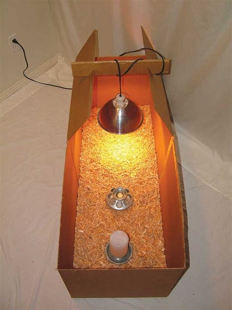 How To Make A Cardboard Chicken Brooder