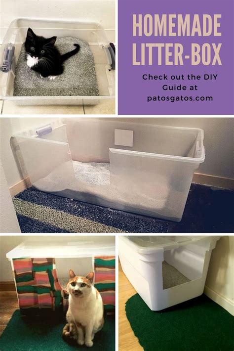 How To Make A Cat Box