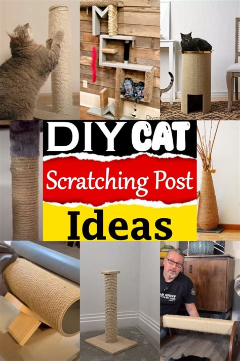 How To Make A Cat Use A Scratch Post