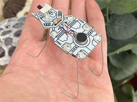 How To Make A Cat Walker