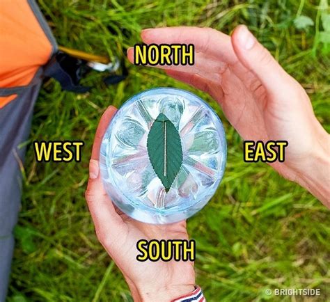 How To Make A Compass With A Needle And Leaf