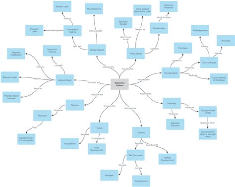 how to make a concept map for studying