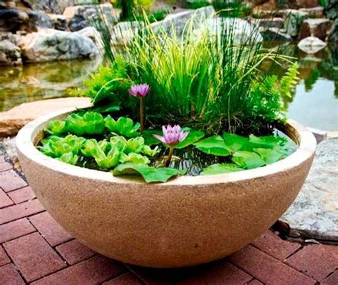 how to make a container garden