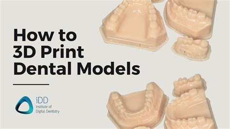 How To Make A Dental Study Model