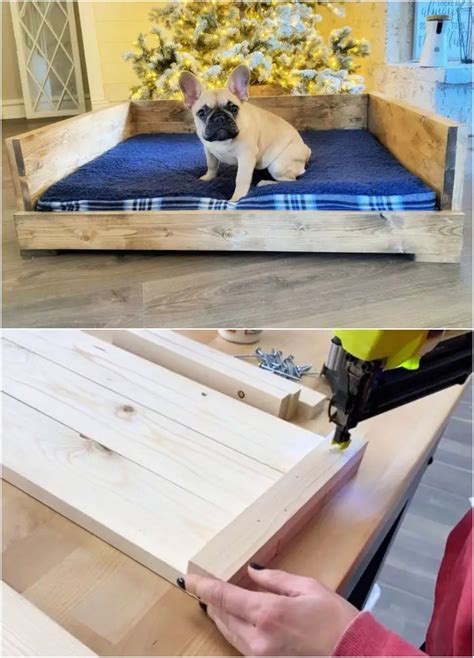 How To Make A Dog Bed That Can't Be Destroyed