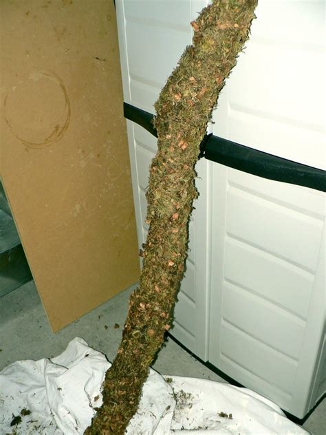 How To Make A Fake Tree Branch For Your Reptile