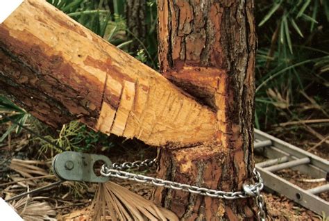 How To Make A Gin Pole