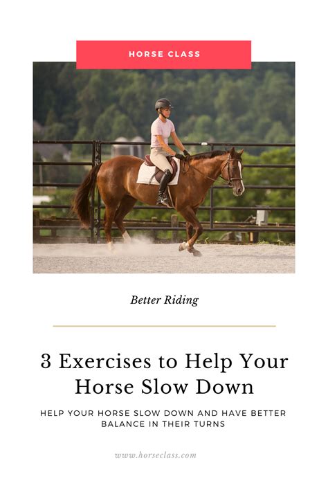 how to make a horse slow down