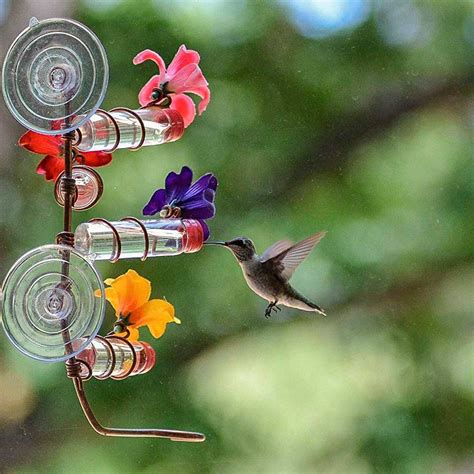 how to make a hummingbird garden