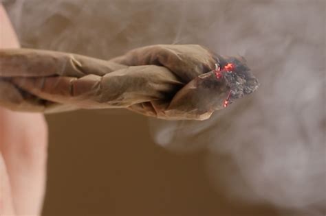 Kempston 318012 Canoe Joint Bead Bit 1/4Inch Shank, 11/2