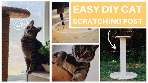 How To Make A Kitten Scratching Post