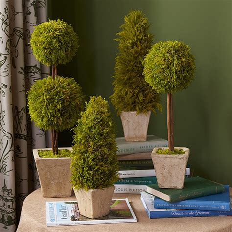 How To Make A Lemon Cypress Topiary