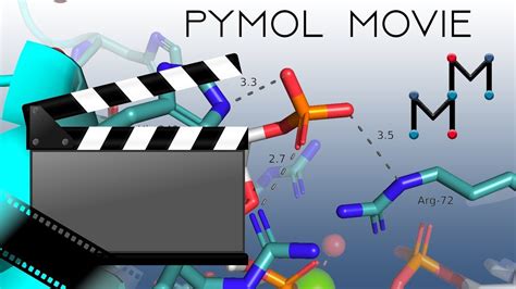 How To Make A Movie In Pymol - Afizodu