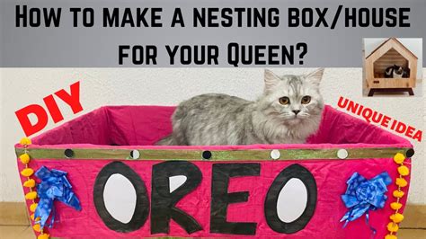 How To Make A Nesting Box For A Cat