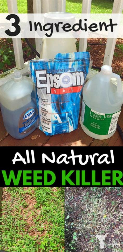 how to make a non toxic weed killer
