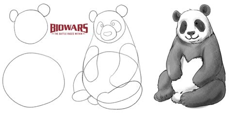 how to make a panda sketch