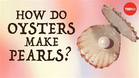 How To Make A Pearl From An Oyster