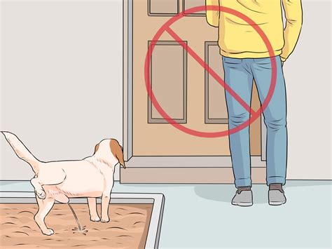 How To Make A Puppy Pee On Command