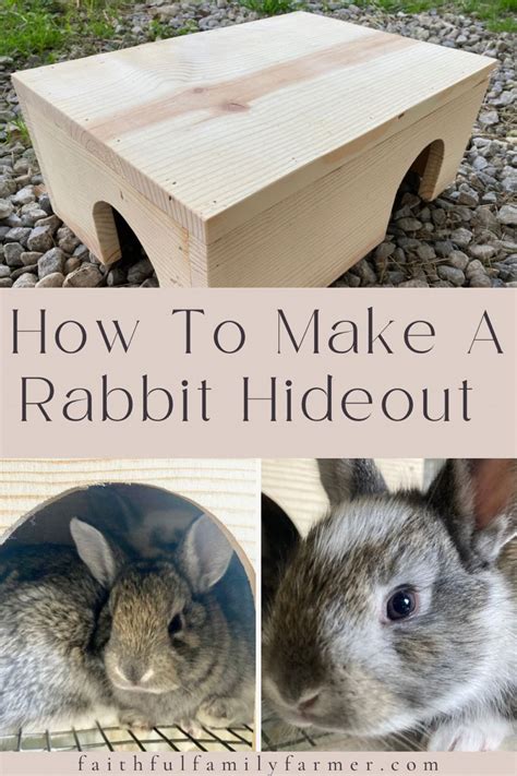 How To Make A Rabbit House With Box