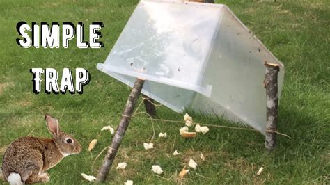 How To Make A Rabbit Trap Step By Step