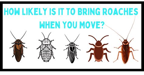 how to make a roach move