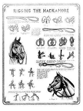 how to make a rope hackamore