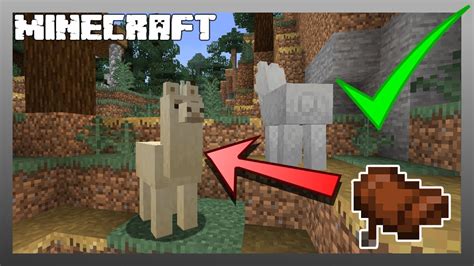 How To Make A Saddle For Llama In Minecraft