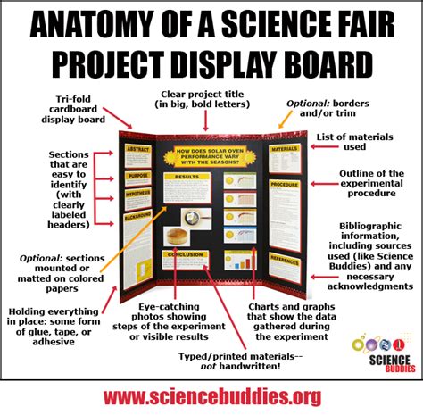 how to make a science project display board