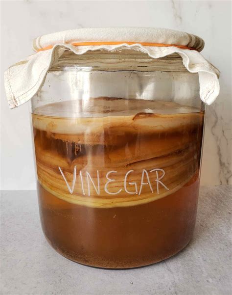How To Make A Scoby With Vinegar