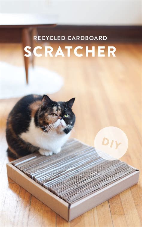 How To Make A Scratchboard For Cats